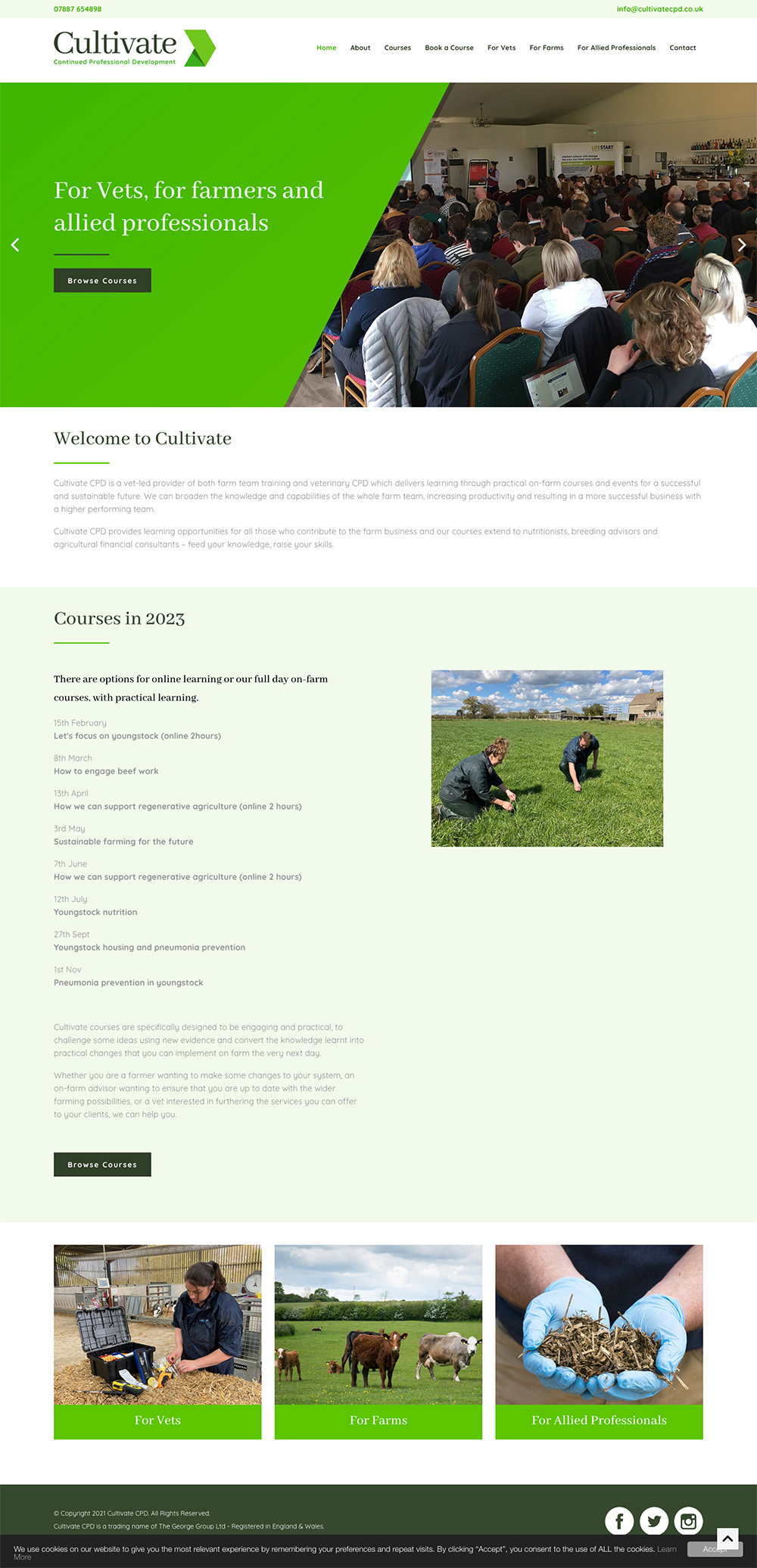 pay monthly web design case study