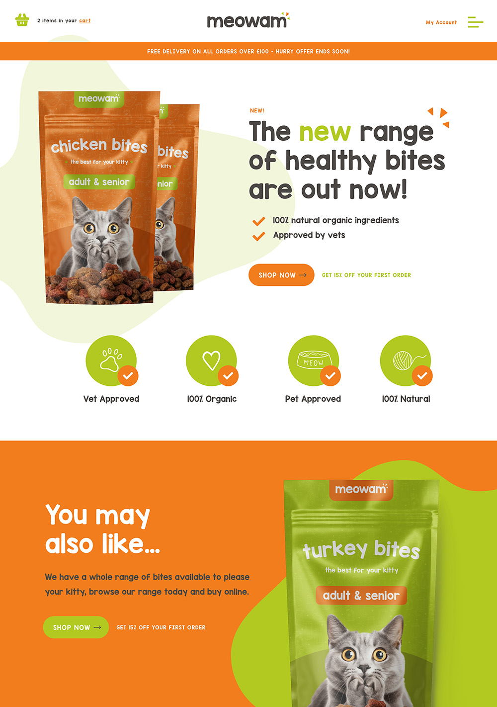 pay monthly web design case study
